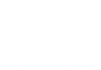Walveen logo